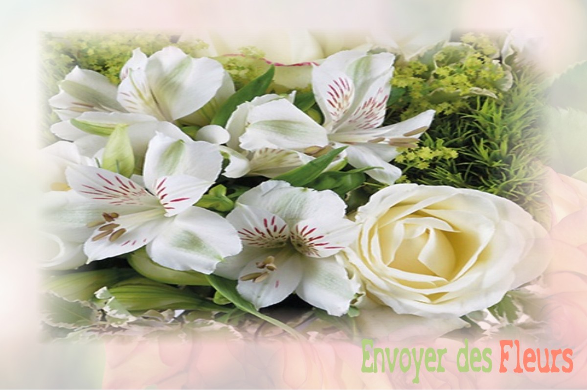 envoyer des fleurs à à BOURGUIGNON-LES-MOREY